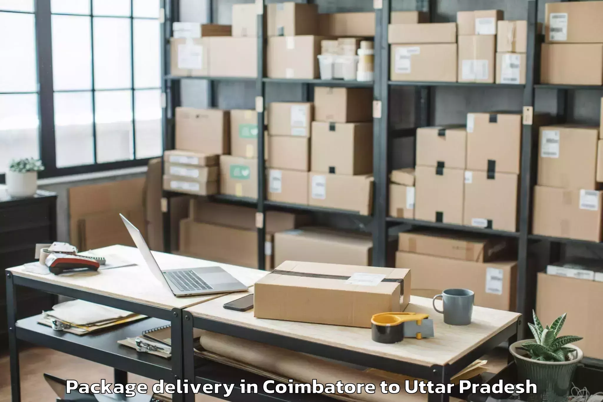 Efficient Coimbatore to Bansdih Package Delivery